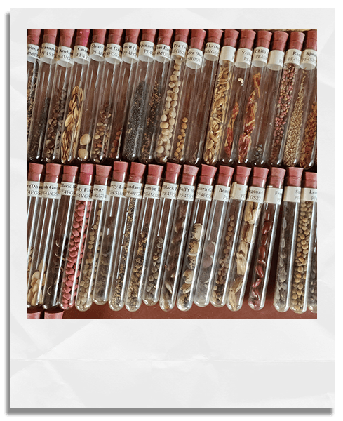 Seedbank