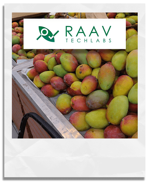 RAAV Startup Image